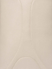 Balo Pickleball Selkirk Core Line Team Bag Limited – Canyon Clay